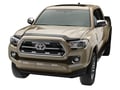 WeatherTech Low Profile Hood Protector